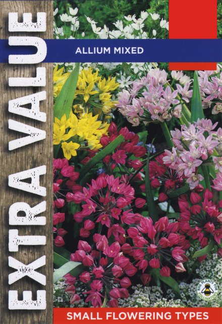 Taylors Bulbs Allium Mixed