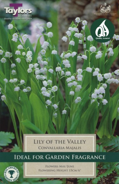 Taylors Bulbs Convallaria Majalis - Lily Of The Valley