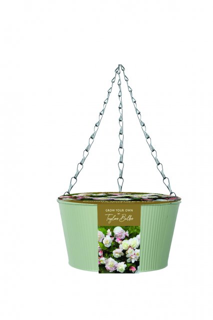 Taylors Bulbs Outdoor Hanging Planter