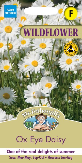 Mr Fothergill's Fothergills Wild Flower Ox Eye Daisy