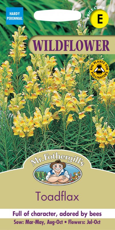 Mr Fothergill's Toadflax Wildflower Foth Seeds