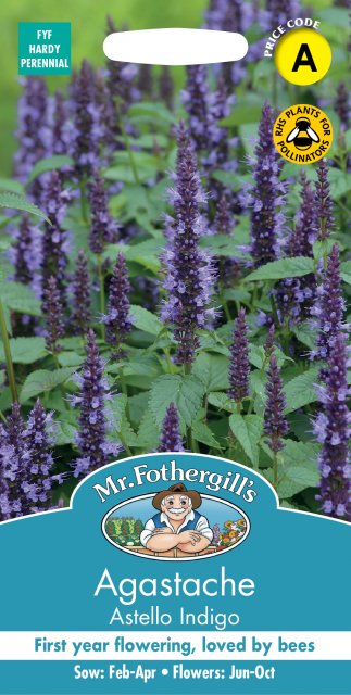 Mr Fothergill's Johnsons Agastache Astello Indigo