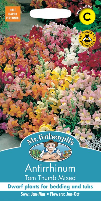 Mr Fothergill's Fothergills Antirrhinum Tom Thumb Mixed