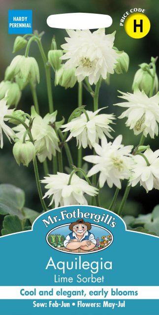 Mr Fothergill's Fothergills Aquilegia Lime Sorbet