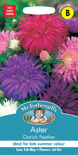 Mr Fothergill's Fothergills Aster Ostrich Feather