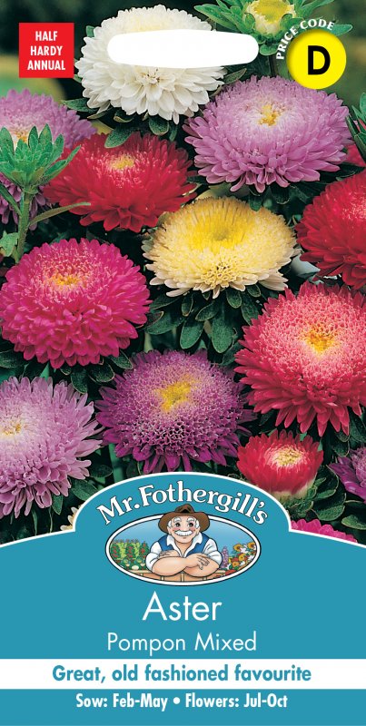 Mr Fothergill's Fothergills Aster Pom Pom Mixed