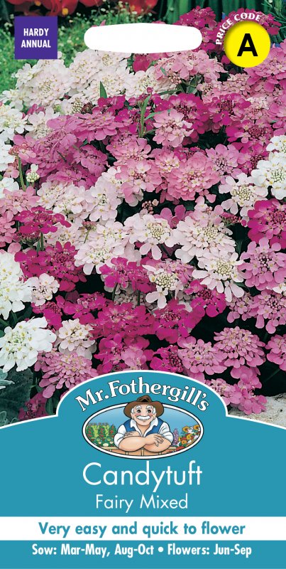 Mr Fothergill's Fothergills Candy Tuft Fairy Mixed