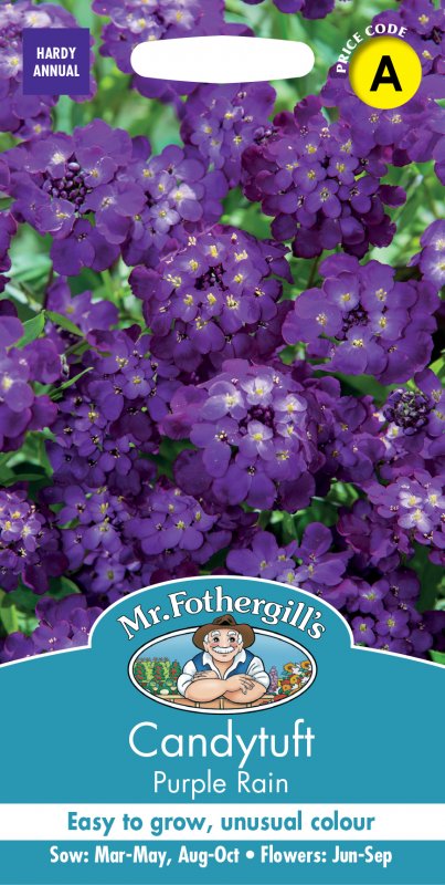 Mr Fothergill's Fothergills Candytuft Purple Rain