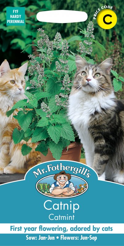 Mr Fothergill's Fothergills Catmint Catnip