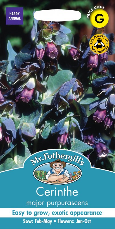 Mr Fothergill's Fothergills Cerinthe Major Purpurascens