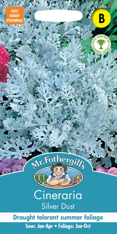 Mr Fothergill's Fothergills Cineraria Silver Dust