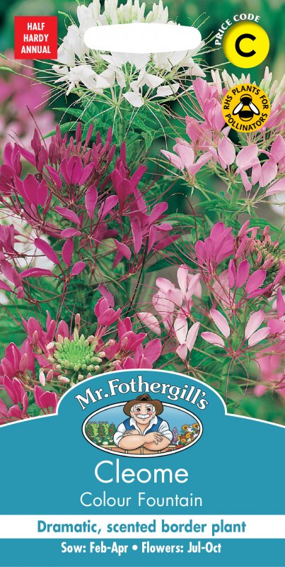 Mr Fothergill's Fothergills Cleome Colour Fountain