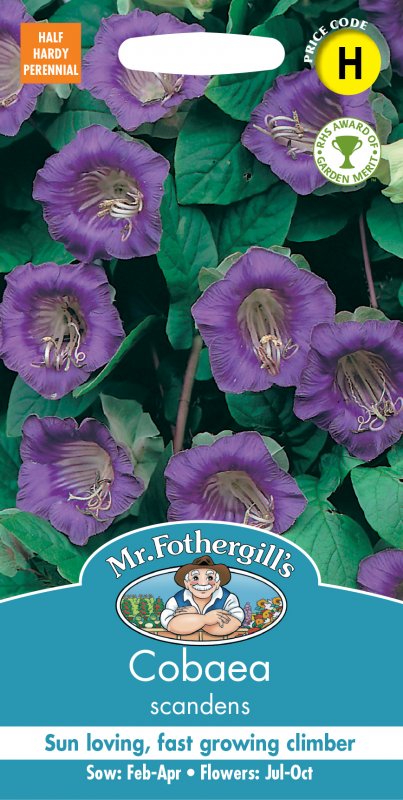 Mr Fothergill's Fothergills Cobaea Scandens