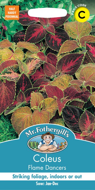 Mr Fothergill's Fothergills Coleus Flame Dancers