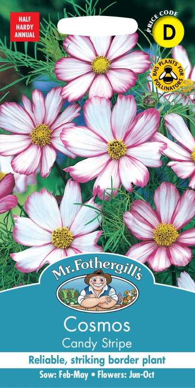 Mr Fothergill's Fothergills Cosmos Candy Stripe