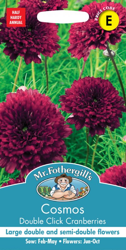 Mr Fothergill's Fothergills Cosmos Double Click Cranberries