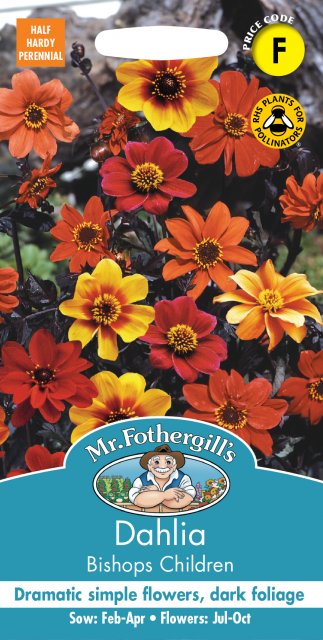 Mr Fothergill's Fothergills Dahlia Bishops Children