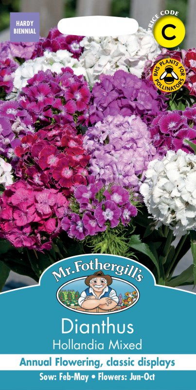 Mr Fothergill's Fothergills Dianthus Hollandia Mixed