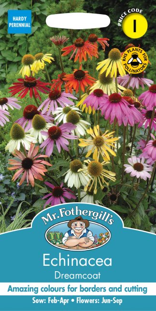 Mr Fothergill's Fothergills Echinacea Dreamcoat