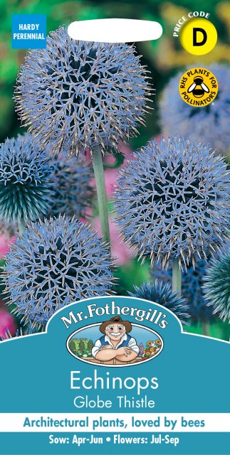 Mr Fothergill's Fothergills Echinops Globe Thistle