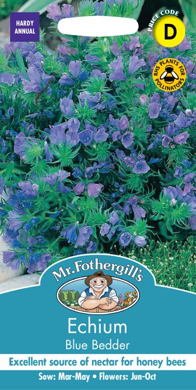 Mr Fothergill's Fothergills Echium Blue Bedder