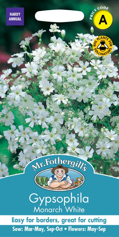 Mr Fothergill's Fothergills Gypsophila Monarch White