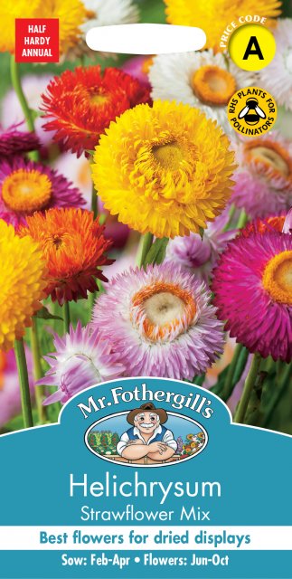 Mr Fothergill's Fothergills Helichrysum Strawflower Mix