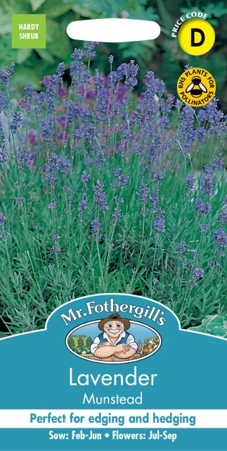 Mr Fothergill's Fothergills Lavender Munstead Strain