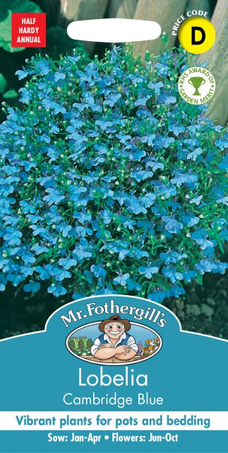 Mr Fothergill's Fothergills Lobelia Cambridge Blue