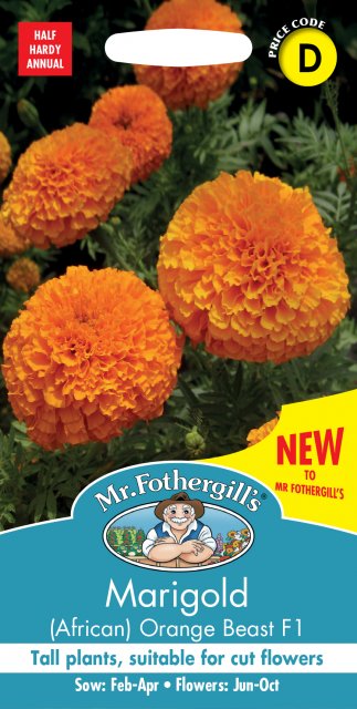 Mr Fothergill's Fothergills Marigold (african) Orange Beast F1