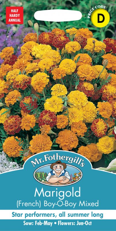 Mr Fothergill's Fothergills Marigold French Boy O Boy Mixed