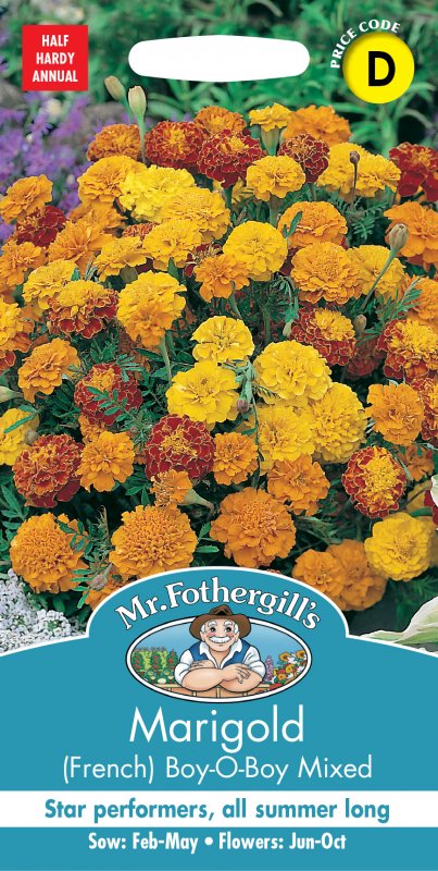 Mr Fothergill's Fothergills Marigold French Boy O Boy Mixed