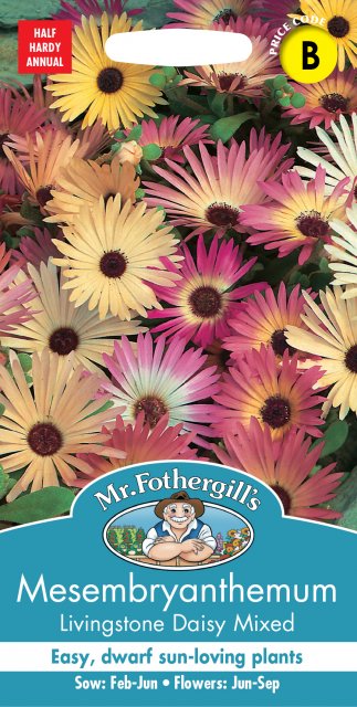Mr Fothergill's Fothergill Mesembryanthemum Livingstone Daisy Mixed