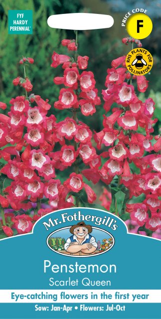 Mr Fothergill's Fothergills Penstemon Scarlet Queen