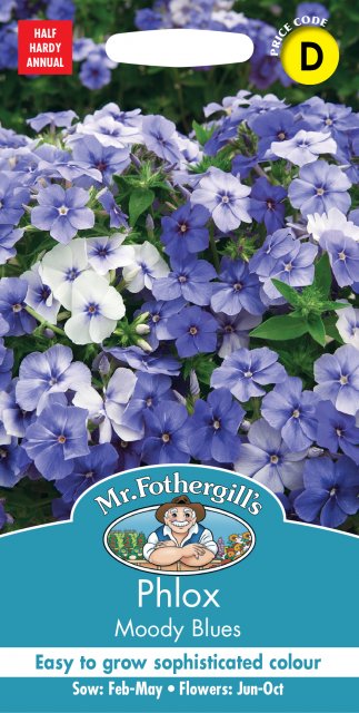 Mr Fothergill's Fothergills Phlox Moody Blues