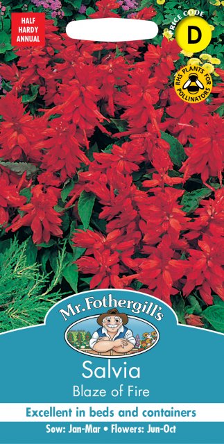 Mr Fothergill's Fothergills Salvia Blaze Of Fire