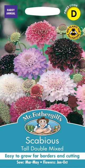 Mr Fothergill's Fothergills Scabious Tall Double Mixed