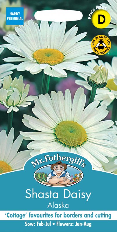 Mr Fothergill's Fothergills Shasta Daisy Alaska