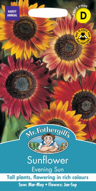 Mr Fothergill's Fothergills Sunflower Evening Sun
