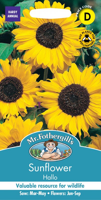 Mr Fothergill's Fothergills Sunflower Hallo