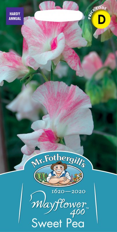 Mr Fothergill's Fothergills Sweet Pea Mayflower 400