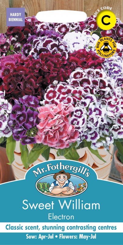 Mr Fothergill's Fothergills Sweet William Electron