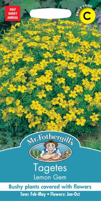 Mr Fothergill's Fothergills Tagetes Lemon Gem