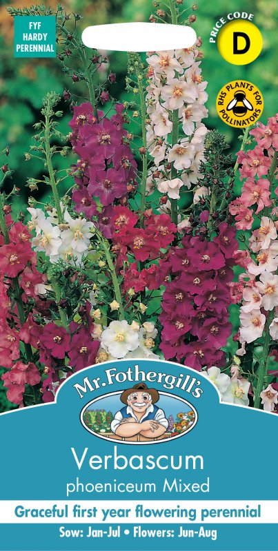 Mr Fothergill's Fothergills Verbascum Phoeniceum Mixed