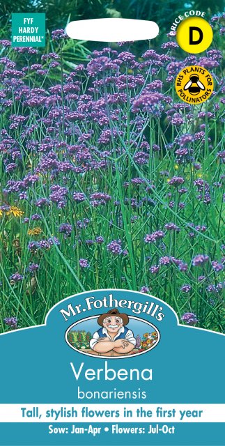 Mr Fothergill's Fothergills Verbena Bonariensis