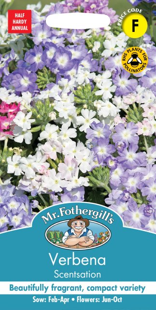 Mr Fothergill's Fothergills Verbena Scentsation