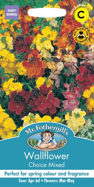 Mr Fothergill's Fothergills Wallflower Choice Mixed