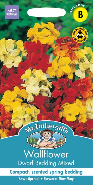 Mr Fothergill's Fothergills Wallflower Dwarf Bedding Mixed