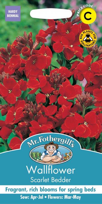 Mr Fothergill's Fothergills Wallflower Scarlet Bedder