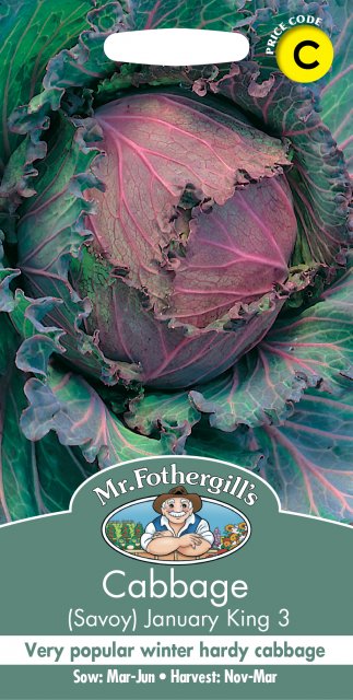 Mr Fothergill's Fothergills Cabbage Savoy  January King 3